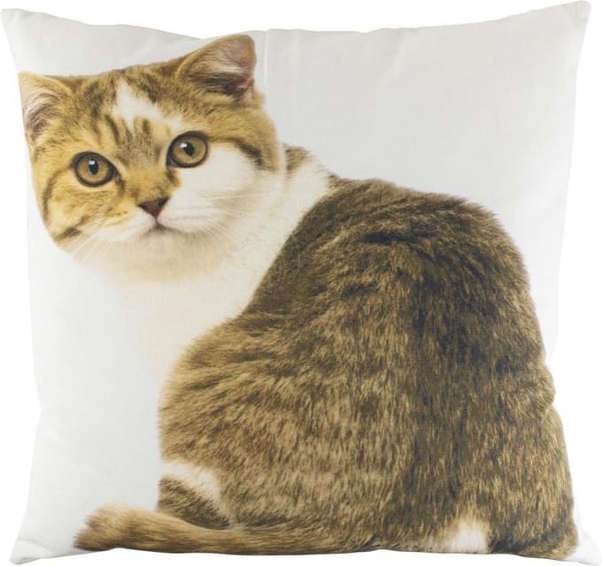 Canvas kussen tabby wit 50x50cm