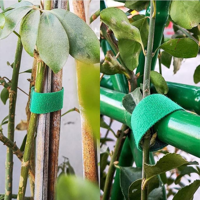 100 stuks Wegwerp Vershoudhoes, Plastic Voedselopslaghoezen, Herbruikbare Komhoezen Stretch Deksel, Elastische Hoeszak wit