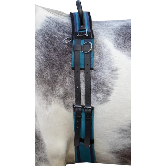 Paardensurfplank met handvat HKM Canvas