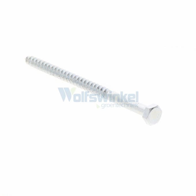 Hoenderdaal houtdraadbout gegalvaniseerd 6 x 100 mm din 571 - doos à 100 stuks