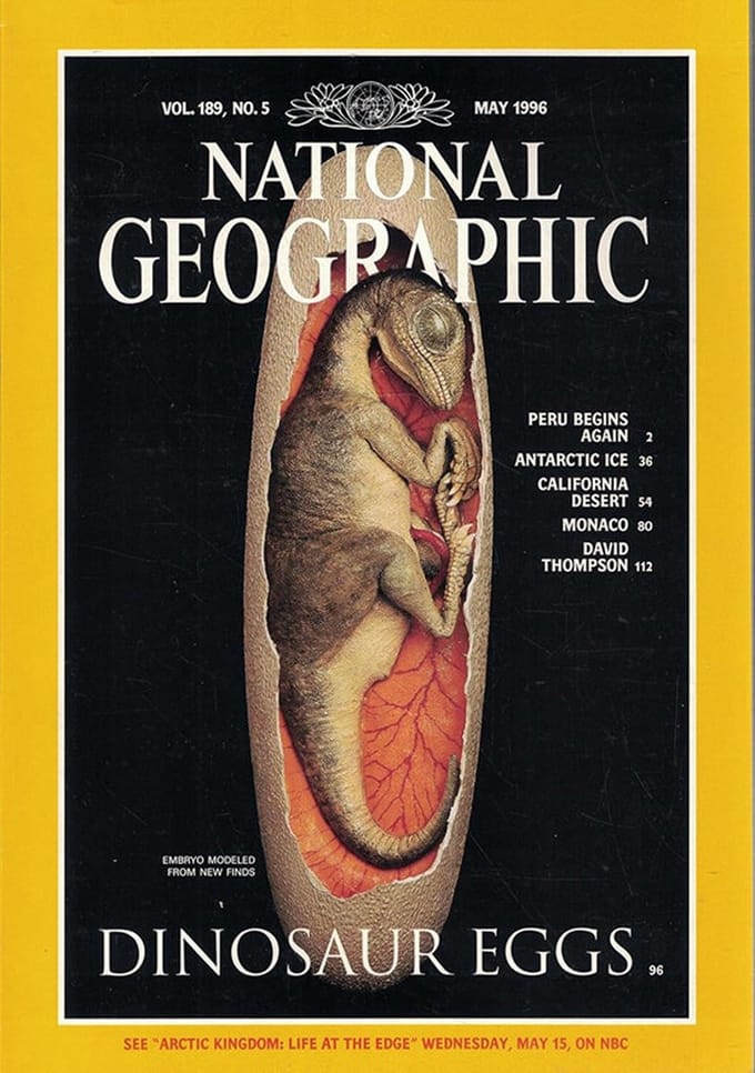 NATIONAL GEOGRAPHIC MEI 1996 EDITIE ENGELS TIJDSCHRIFT (DINOSAUR EGGS)