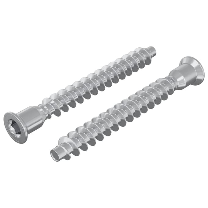 vidaXL Confirmatschroeven 2 pcs Zilver Ø7 x 58 mm Metaal