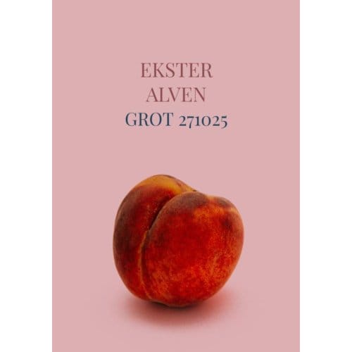 Grot 271025 - Ekster Alven