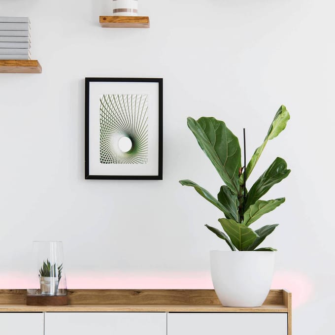EGLO connect Stripe-C LED strip RGBW 300cm
