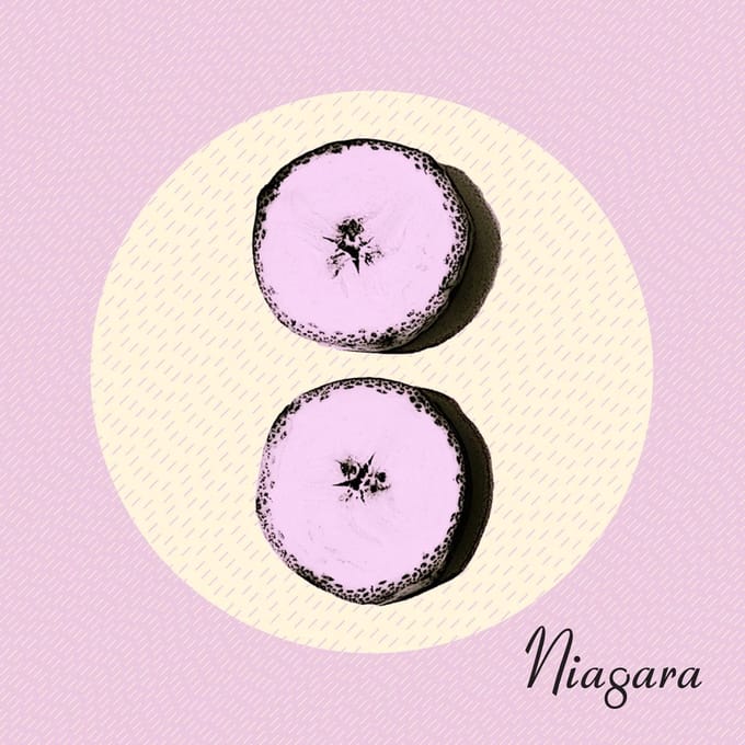 Niagara - Otto (CD)