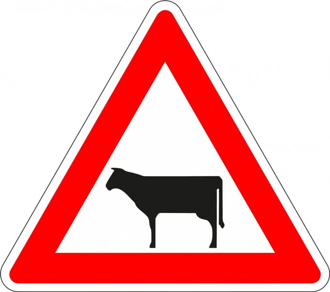 Pas op overstekend vee bord, kunststof, J28 400 mm