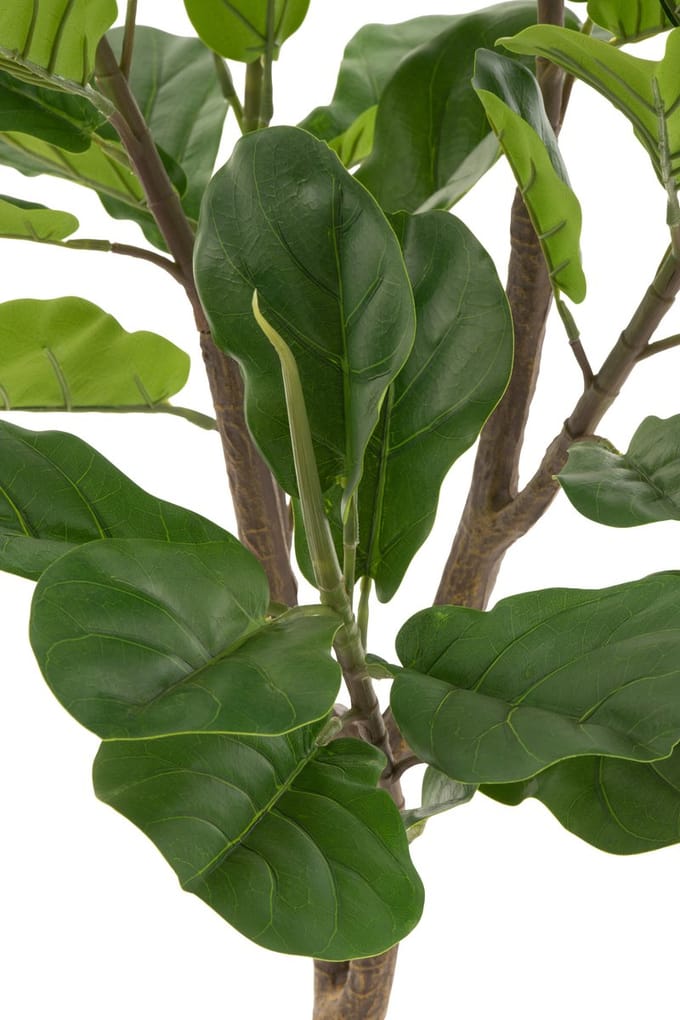 J-Line Vioolbladplant - kunststof - groen