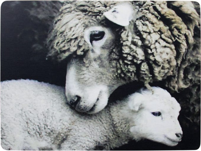 placemat schaap en lam 30x40cm (4)