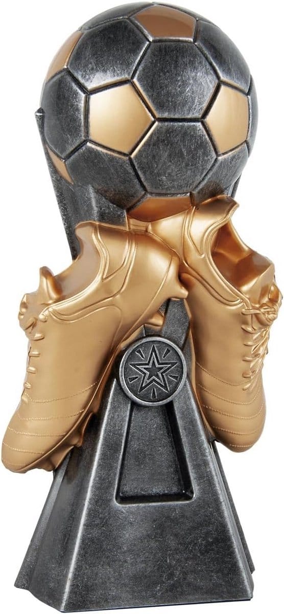 Unisex Sport Trofee Zilver/Goud 19 cm voor Diverse Competities