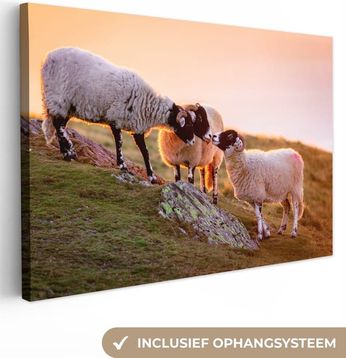 Canvas Schilderij Schapen - Dieren - Zonsondergang - 90x60 cm - Wanddecoratie
