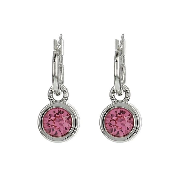 Biba Hang Oorbellen met Swarovski Steentje Rose