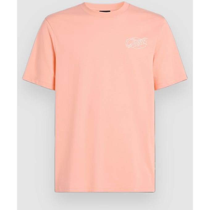 O'Neill Box Logo T-Shirt roze