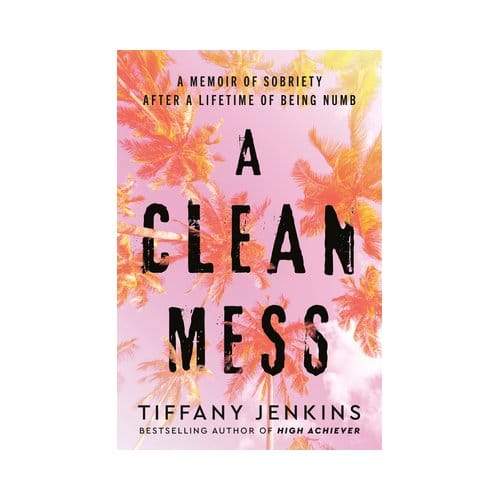 A Clean Mess - Tiffany Jenkins