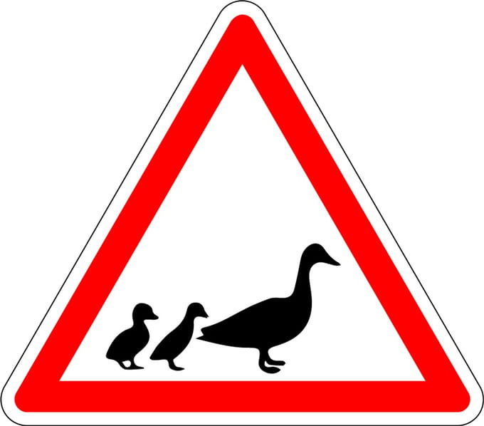 Pas op voor eenden bord - kunststof 150 mm