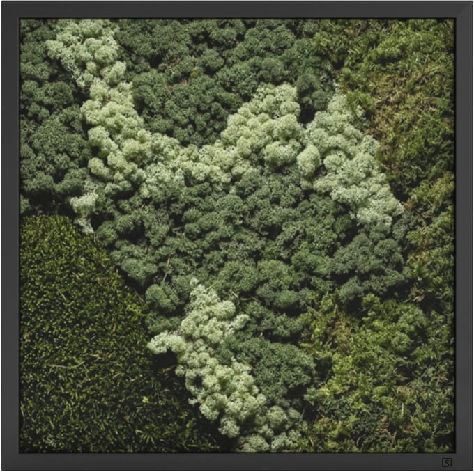 Mos Schilderij 80x80 cm Zwart