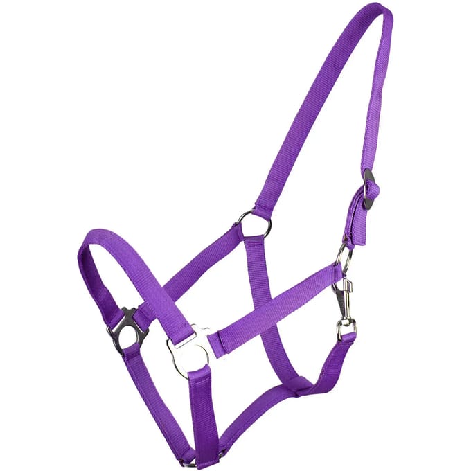 Halsband voor paard met rits Q-essentials