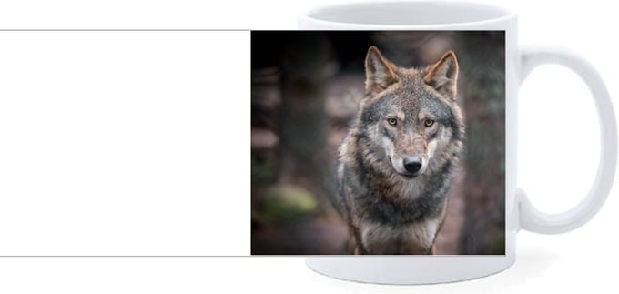 Beker - Wolf Bos
