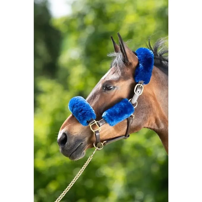Halter schede HFI
