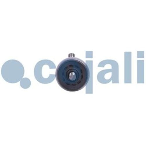 Werkcilinder COJALI 2801001