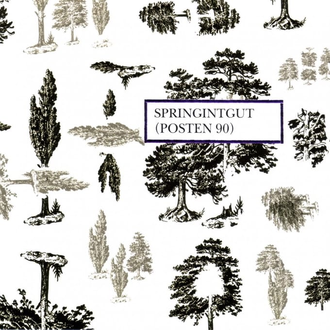 Springintgut - Posten 90 (CD)
