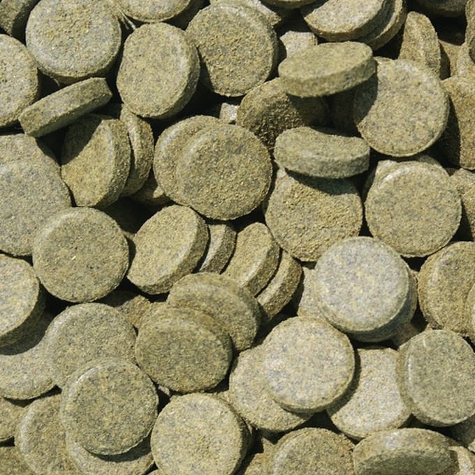 Spirulina Kleeftabletten - Algentabletten Aquarium - Visvoer - 100 ml