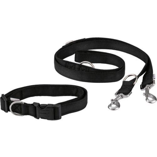 ZOOFARI Hondenriem (halsband en riem set)