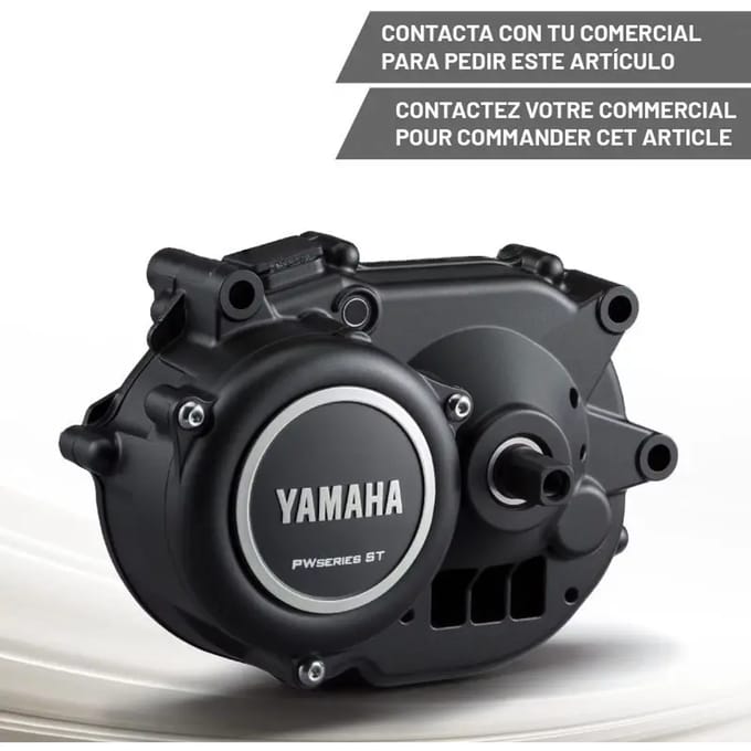 Elektromotor Yamaha PW-ST