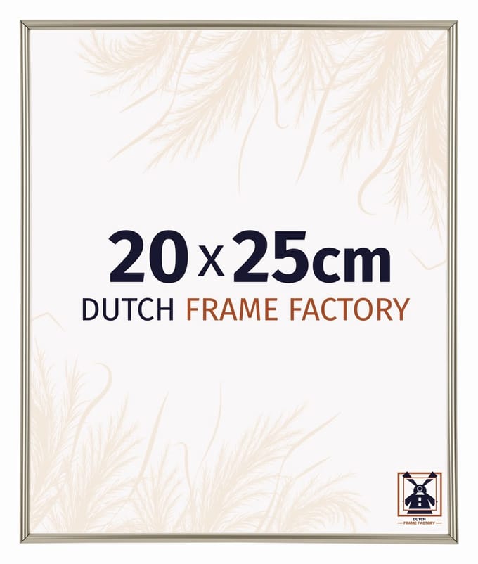 Fotolijst 20x25 cm - Kunststof - Champagne - Angers