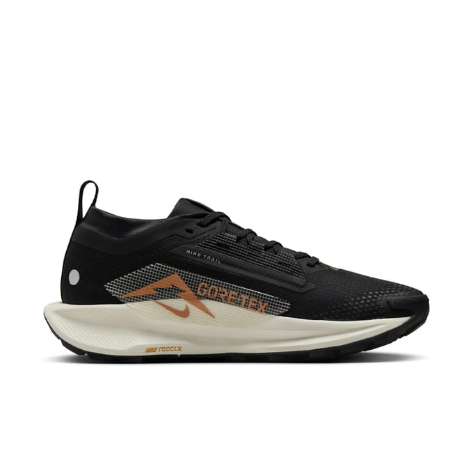 Damesschoenen Nike Pegasus 5 Gore-Tex