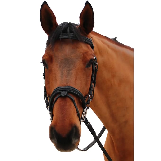 Hoofdstellen voor paarden Canter Mylord
