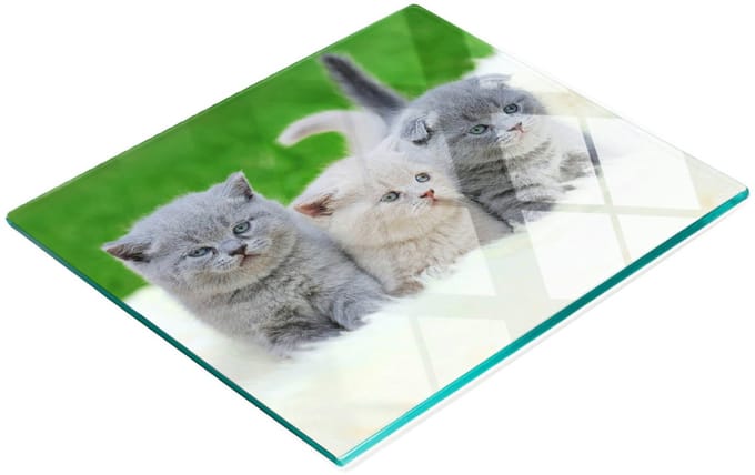 Glazen snijplank met afbeelding van drie katten (deken) 60x52 cm