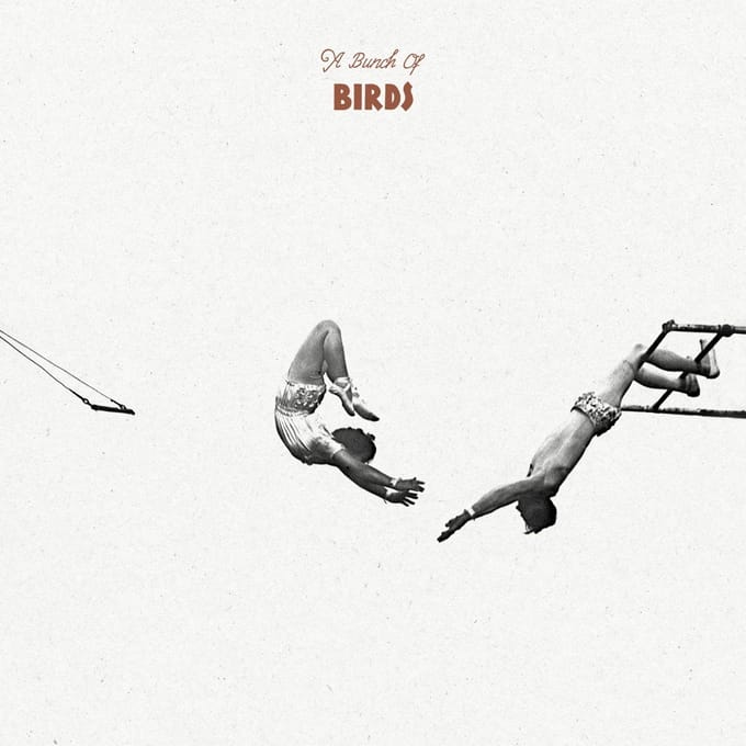 A Bunch Of Birds - A Bunch Of Birds (LP)
