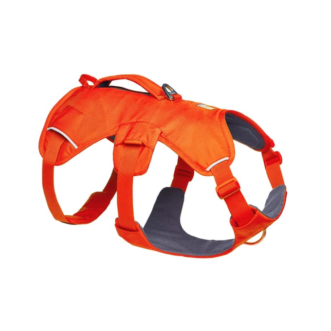 Hondentuig Ruffwear Web Master™