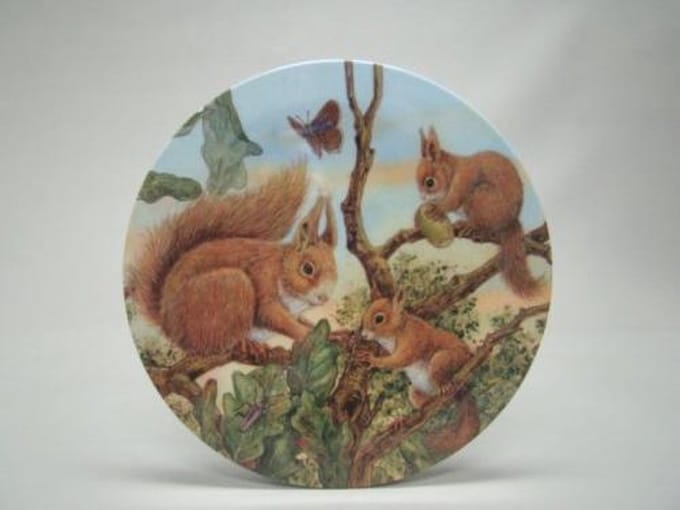 Tafelonderzetter Eekhoorn – Ø 20 cm – Melamine – Geharo