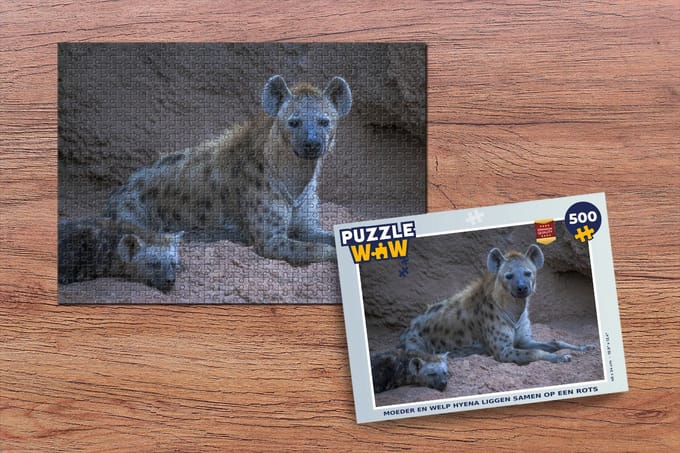 Puzzel Hyena - Welp - Rots - Legpuzzel - Puzzel 500 stukjes