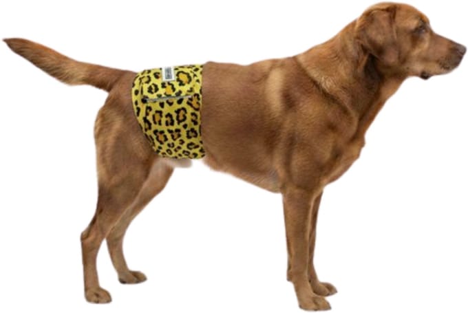 Hondenluier reu - Luipaard bruin - Maat XL- Wasbaar - Verstelbaar 64-86 cm