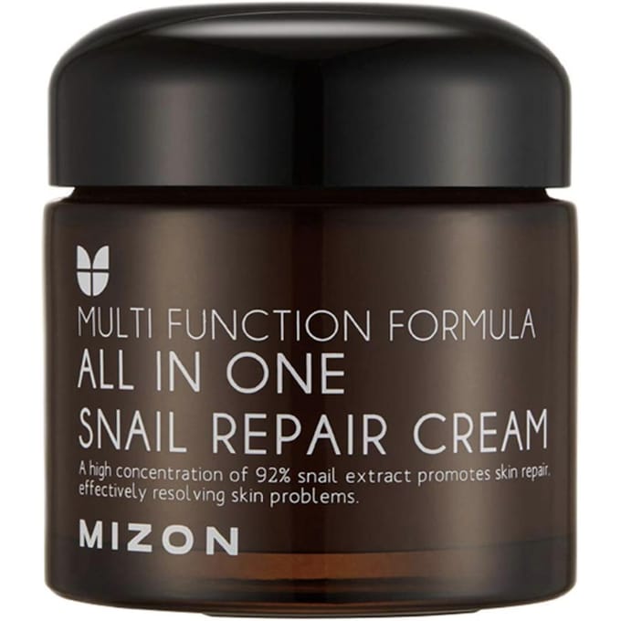 MIZON All in One Slakkenherstelcrème, 75g black