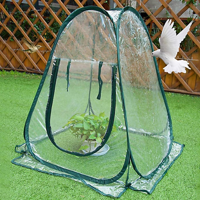 Opvouwbare Draagbare Mini Huis Tuin Kas Succulent Bloem Warme Hoes Winddicht Regenbestendig white