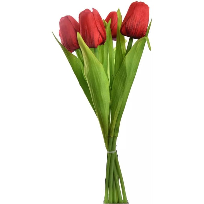 Tulp - Boeket - 7 Stuks - 35 cm - Rood
