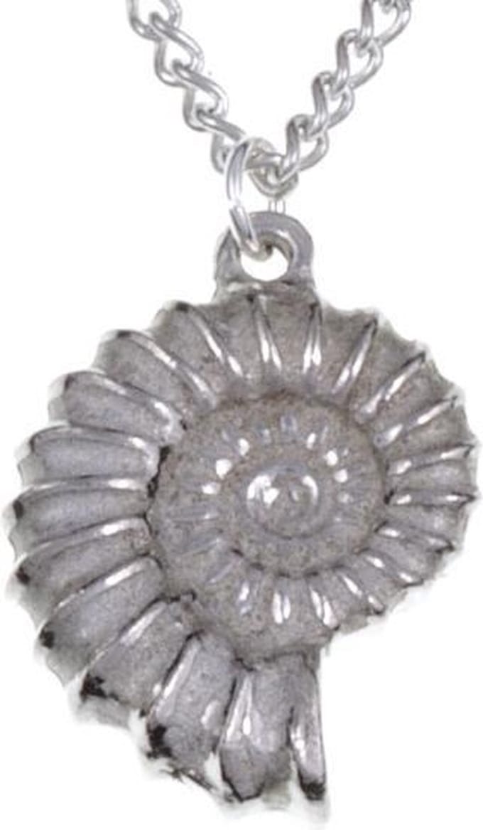 Ammonite Hanger ,fossiel sieraden