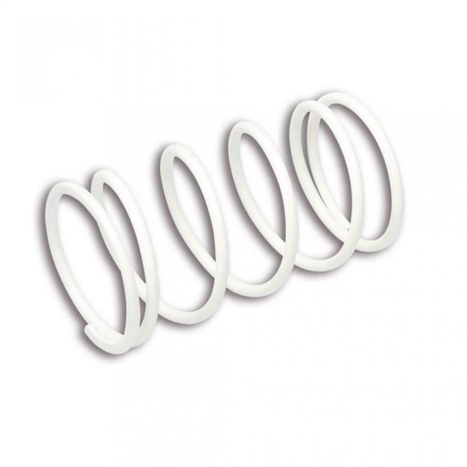 Ressort d embrayage Malossi pour Auto 2912658W0 Neuf