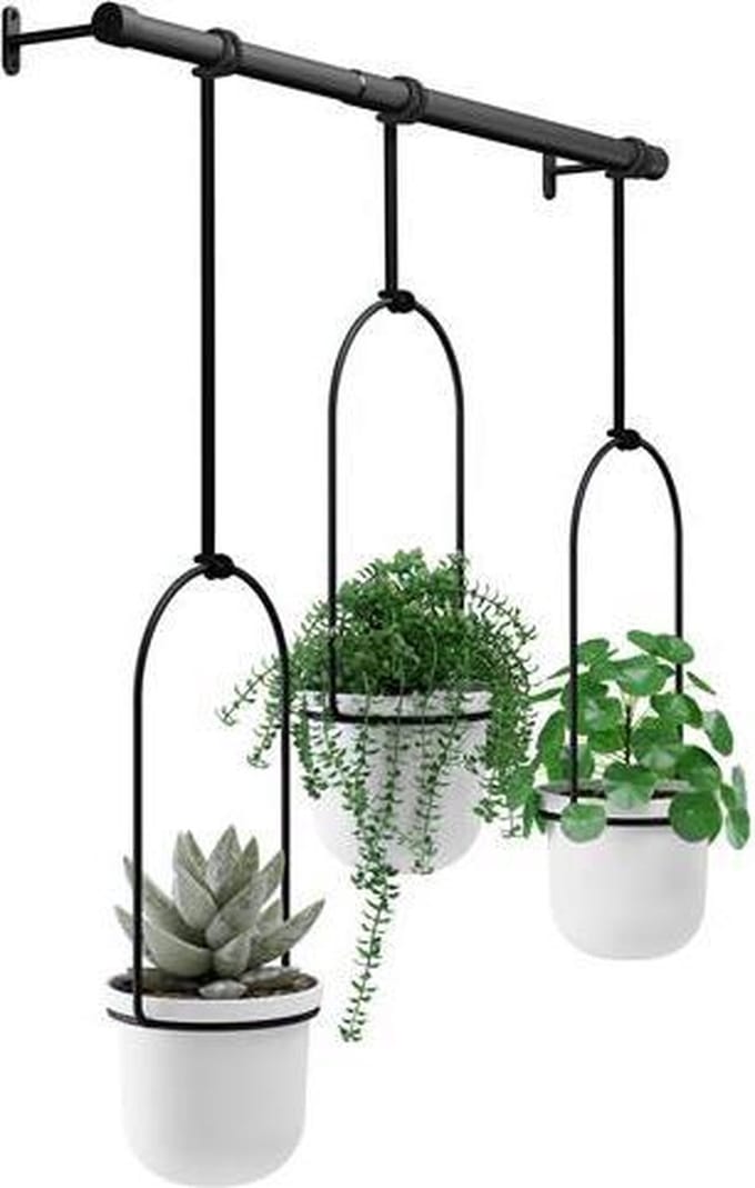 Umbra Triflora hangende bloempotten
