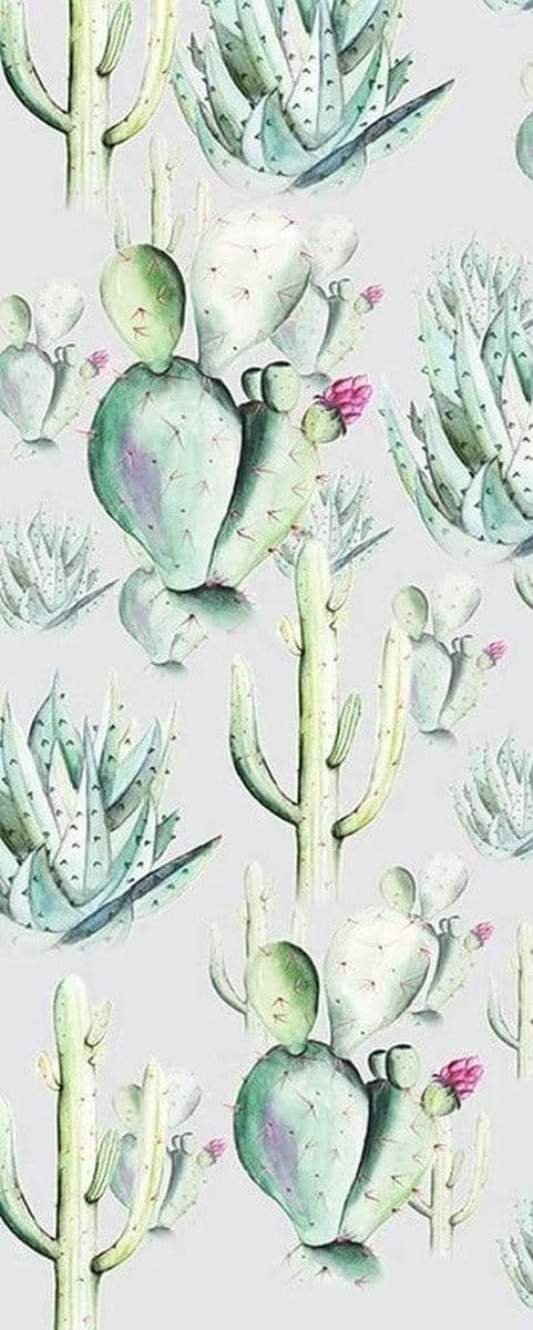 Fotobehang - Cactus Grey 100x250cm - Vliesbehang