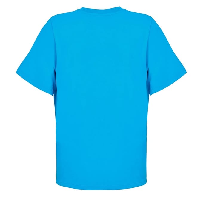SOLS Dames/Dames Legend T-shirt (Aqua)