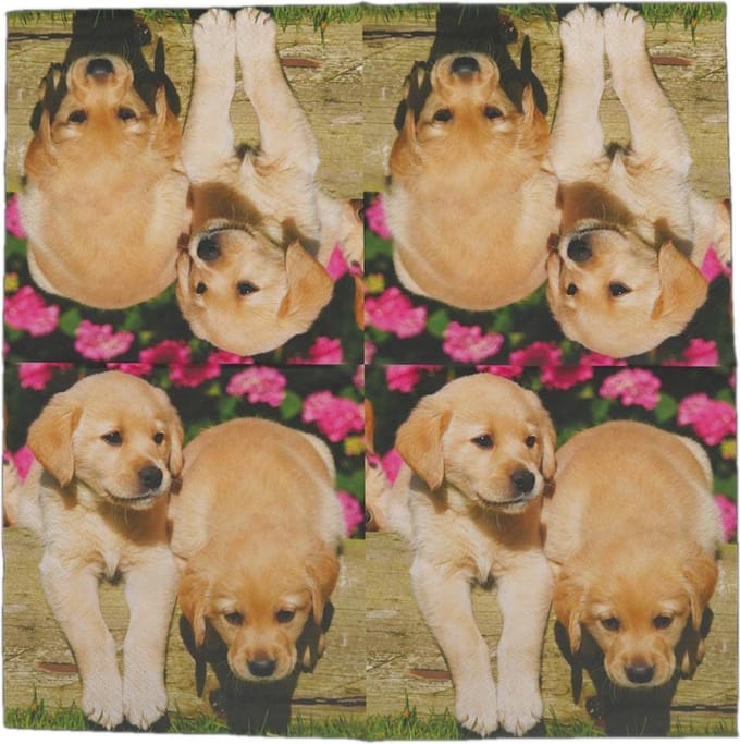 Lunch servetten Puppy's - Esscherts design - 33x33 cm