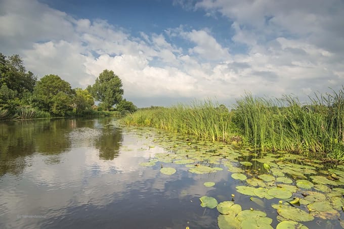 Fotobehang Riviertje de Giessen 450 x 260 cm - € 295,--