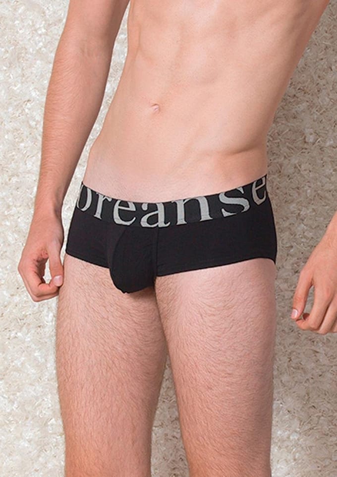 Zwarte Short Large