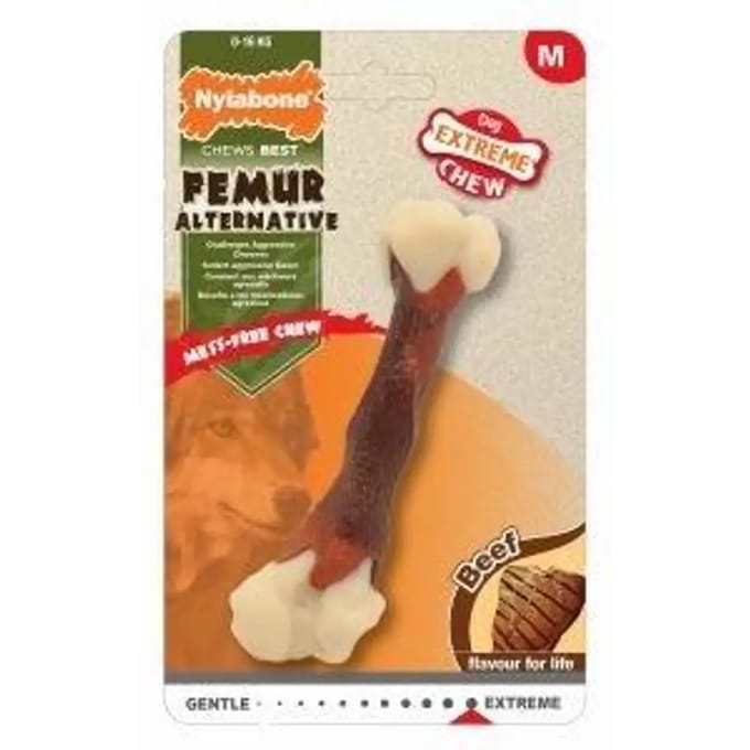 Hondenspeelgoed Nylabone Extreme Chew - Femur Beef Flavour M
