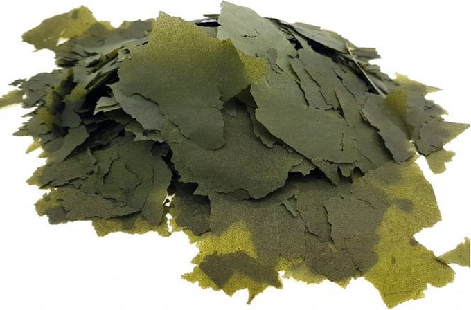 Spirulina vlokken - Vissen vlokvoer - 100 ml