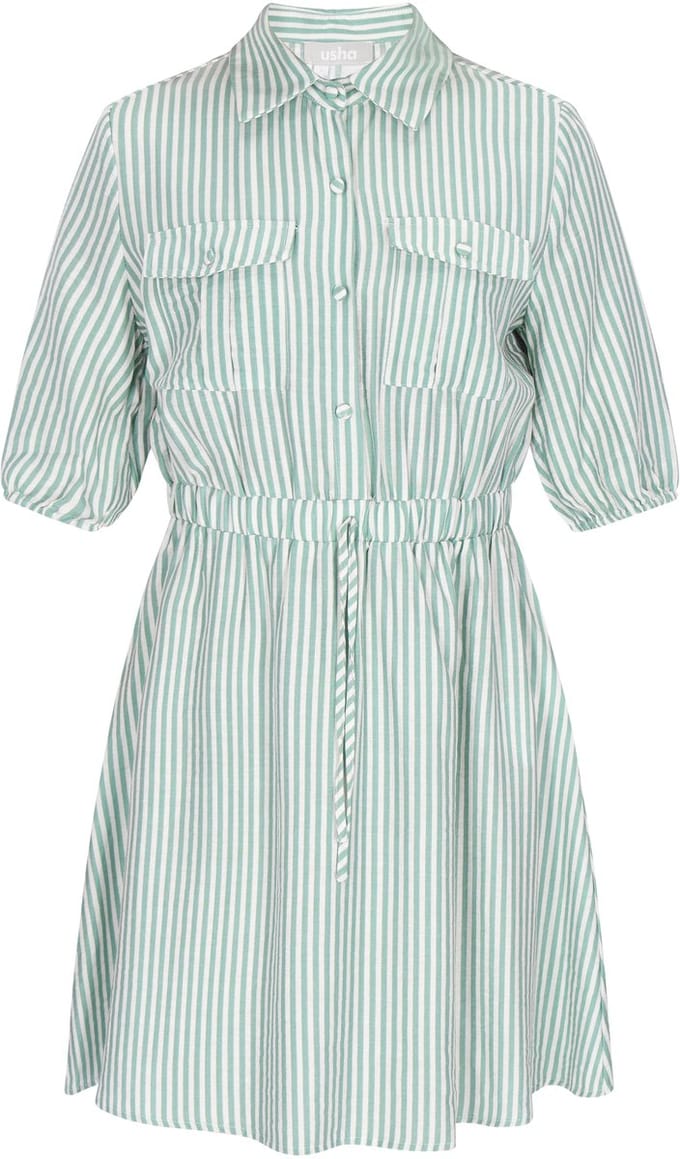 usha Dress